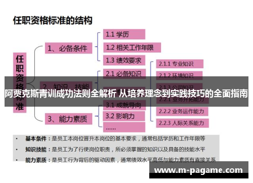 阿贾克斯青训成功法则全解析 从培养理念到实践技巧的全面指南