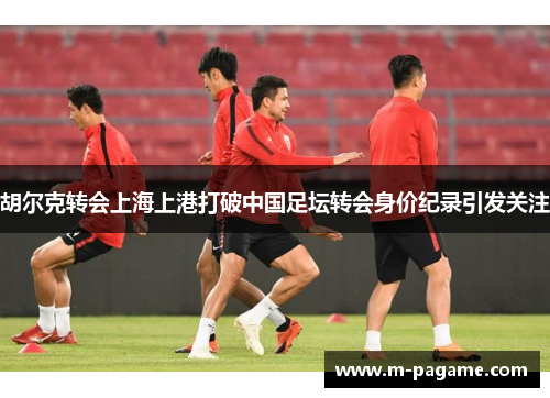 胡尔克转会上海上港打破中国足坛转会身价纪录引发关注
